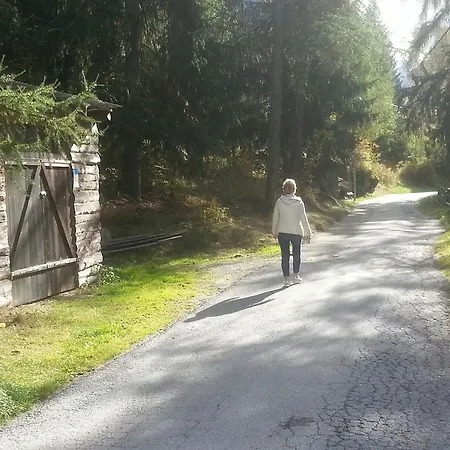 Chalet Eigenheim