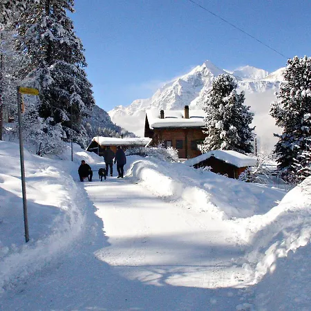 Chalet Eigenheim *